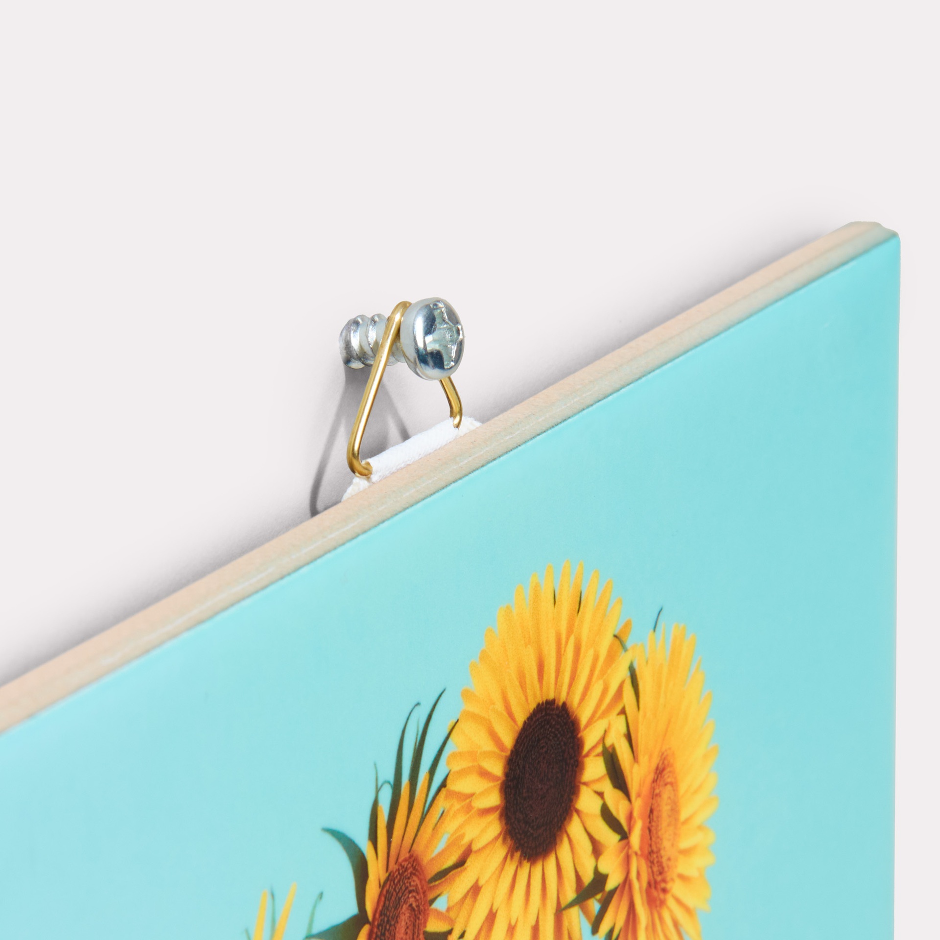 Print.com CMS Gallery #3