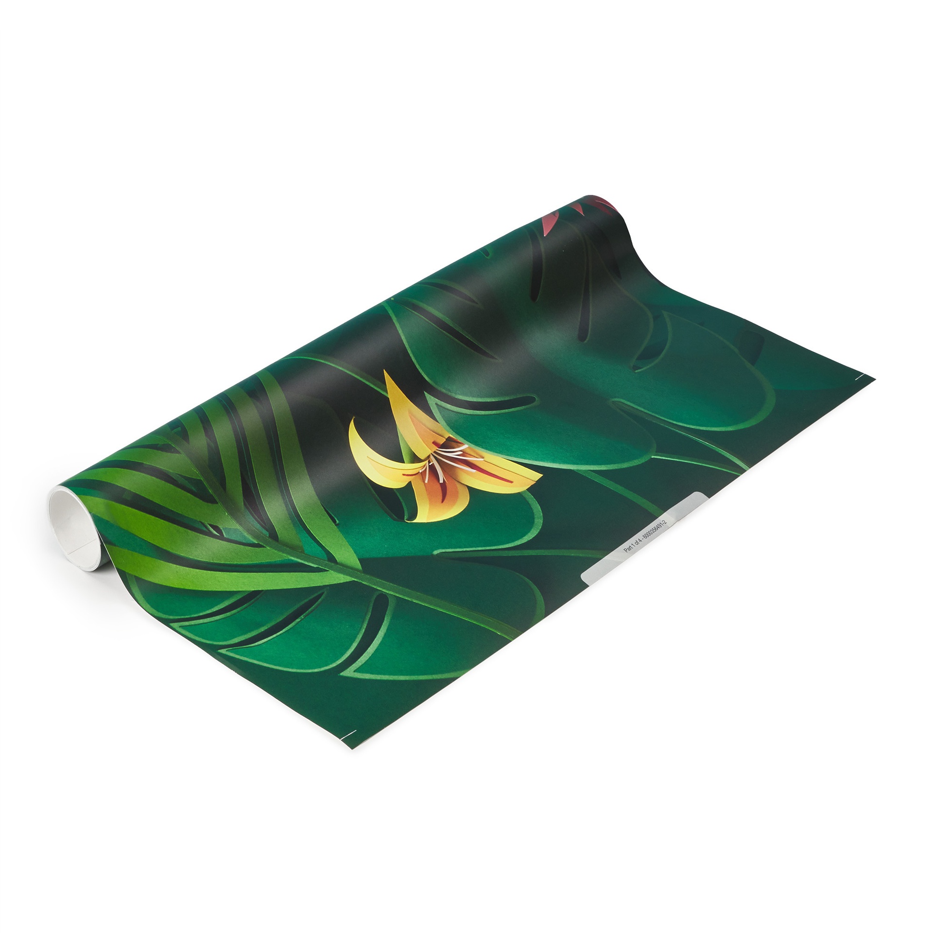fotobehang-cat image