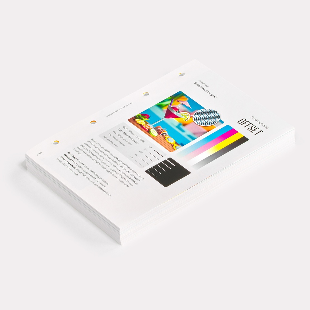 Lose Seite für Ringbuch