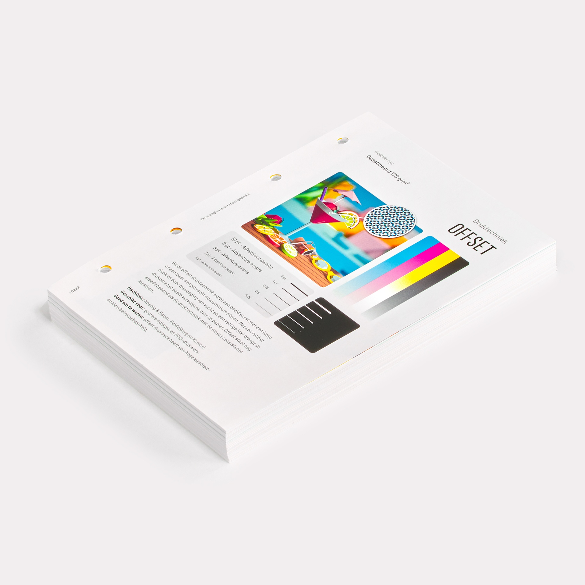 Lose Seite für Ringbuch