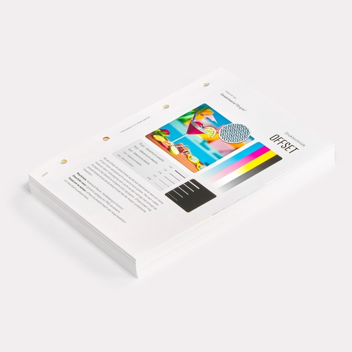 Lose Seite für Ringbuch